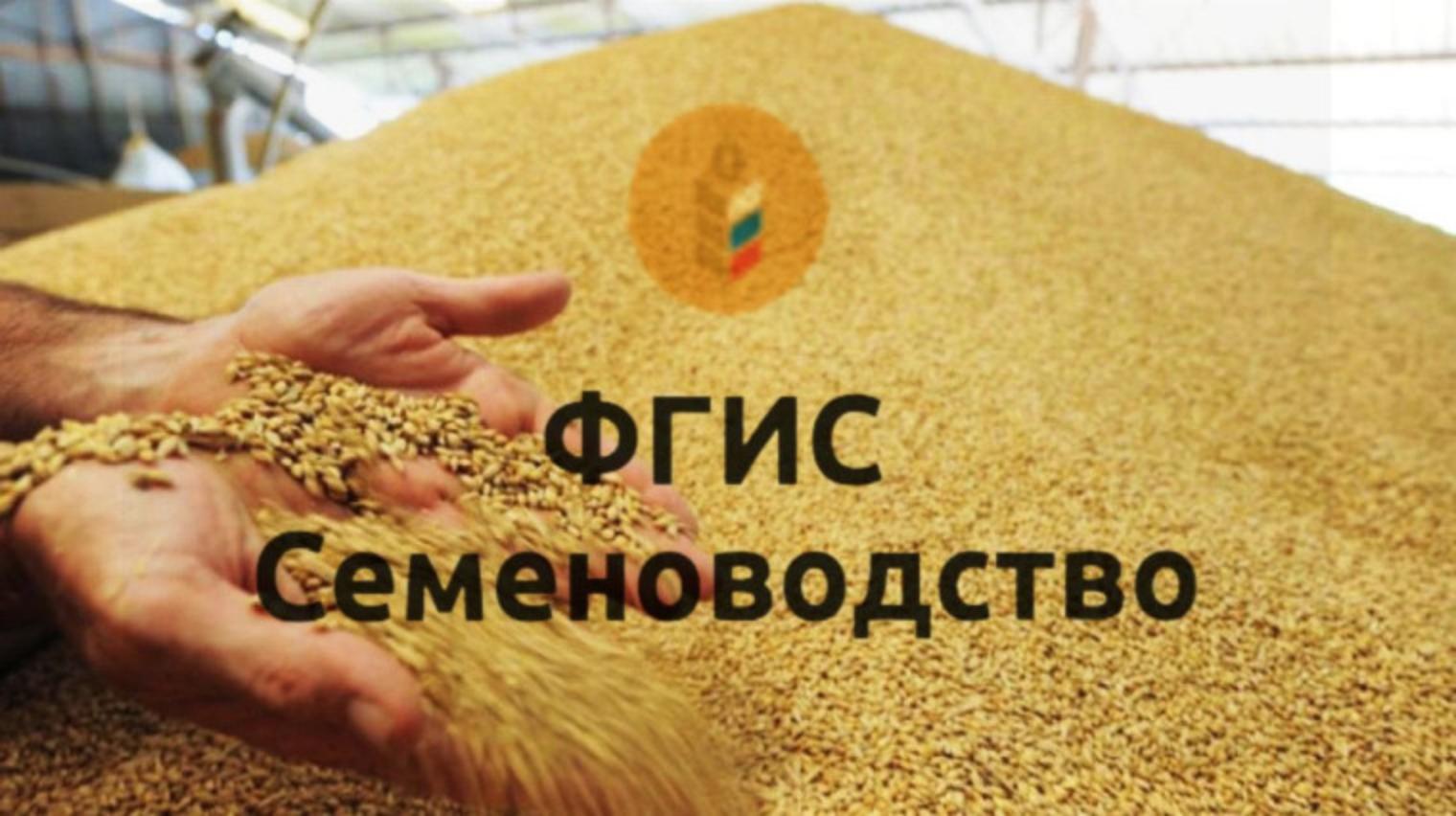 Сотрудники Министерства сельского хозяйства Пензенской области приняли участие в совещании по работе в системе ФГИС Семеноводство