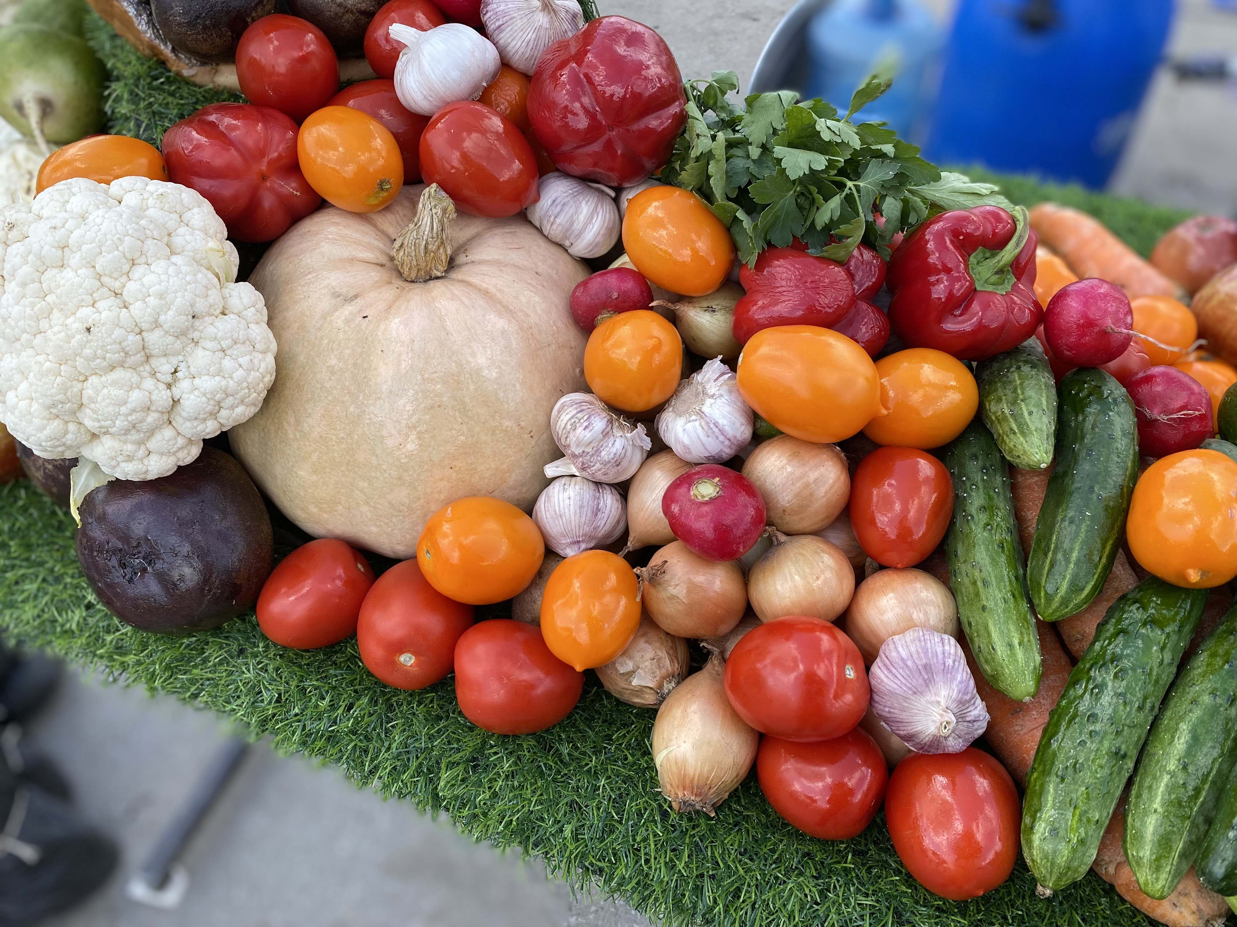 28 и 29 сентября 2024 года в городе Пензе пройдет ярмарка-презентация продукции местных товаропроизводителей