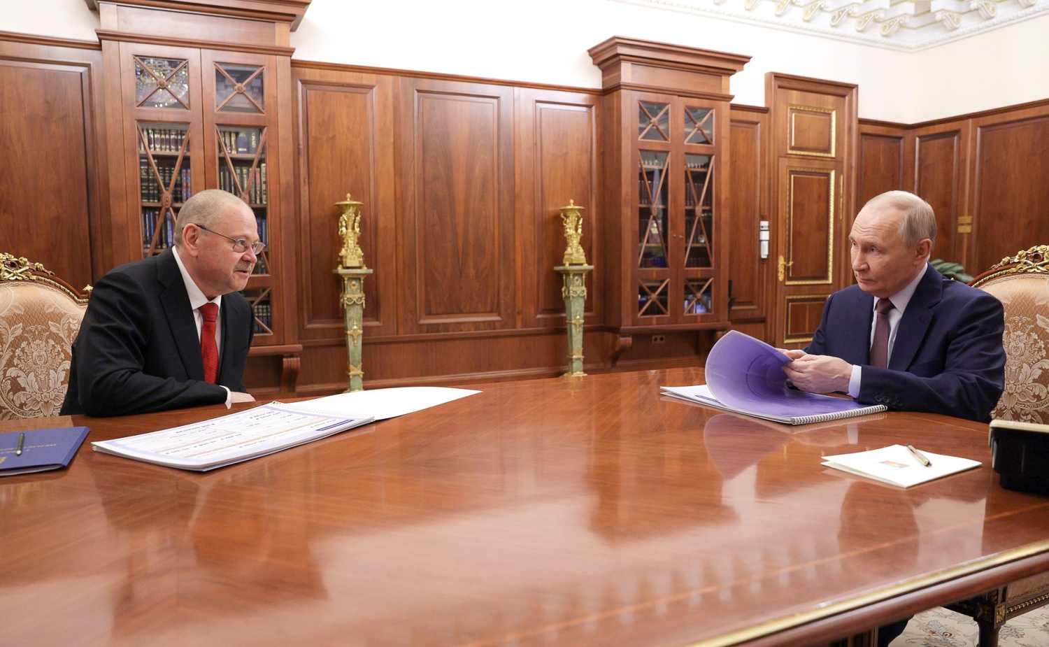 Олег Мельниченко доложил Владимиру Путину о социально-экономическом развитии Пензенской области