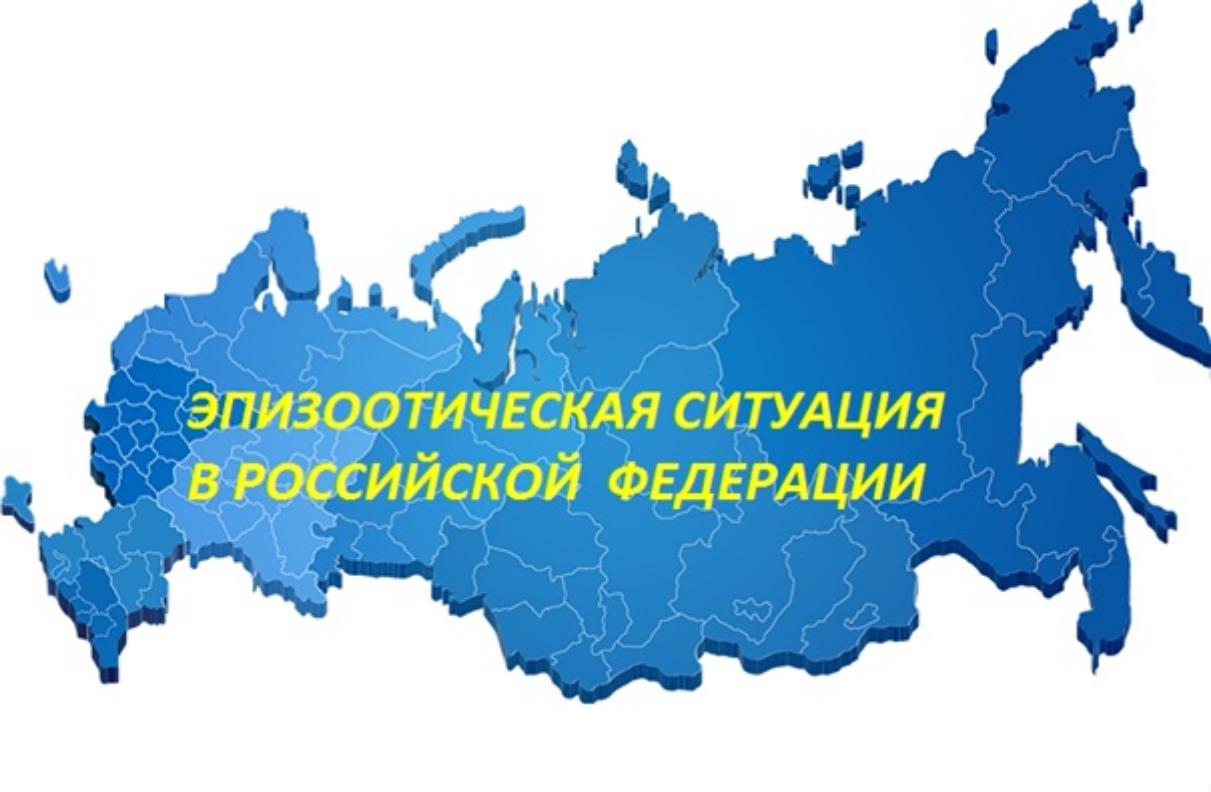Информация об эпизоотической ситуации в Российской Федерации по состоянию на 24 июля 2022 г.