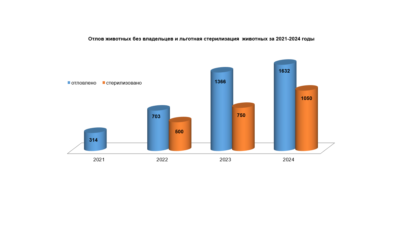 В 2024 году отловлено 1632 животных без владельцев