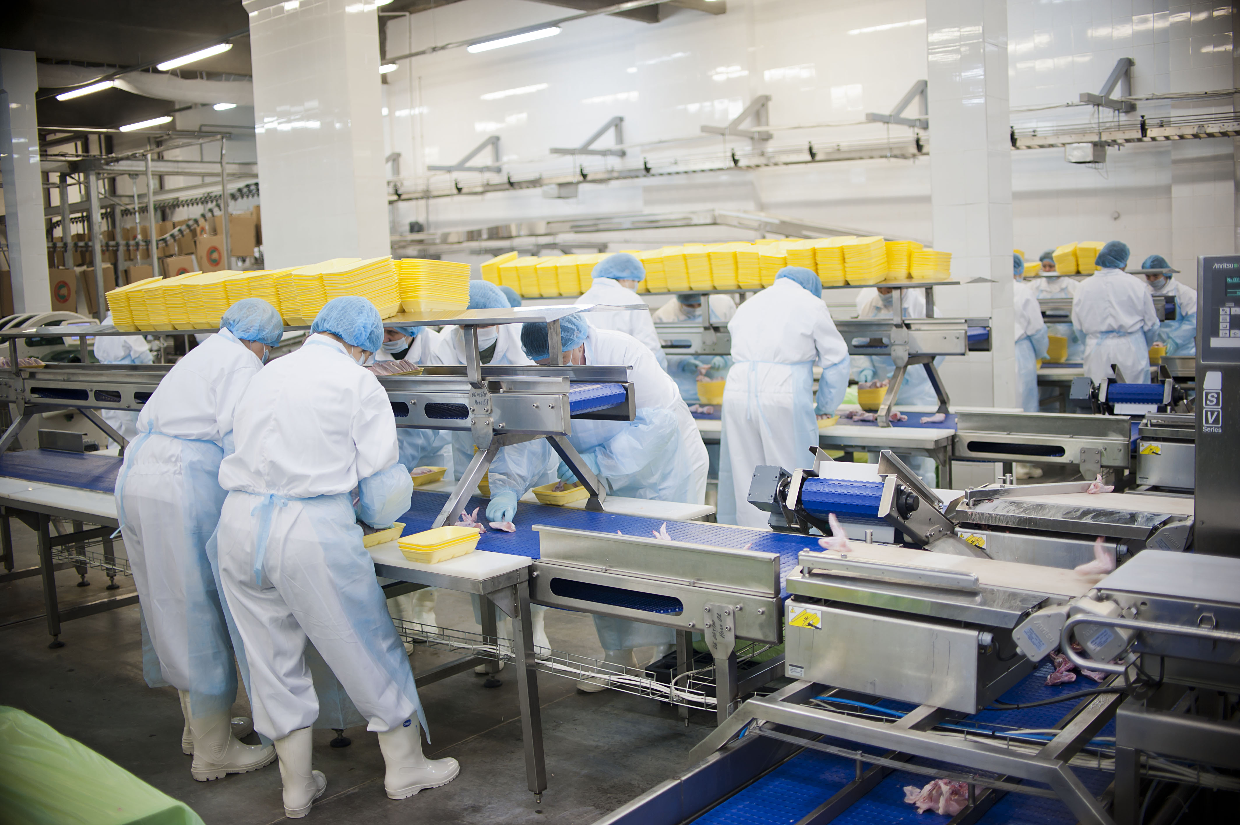 Экспорт продукции АПК составил 132,8 млн долларов США (в сопоставимых ценах)