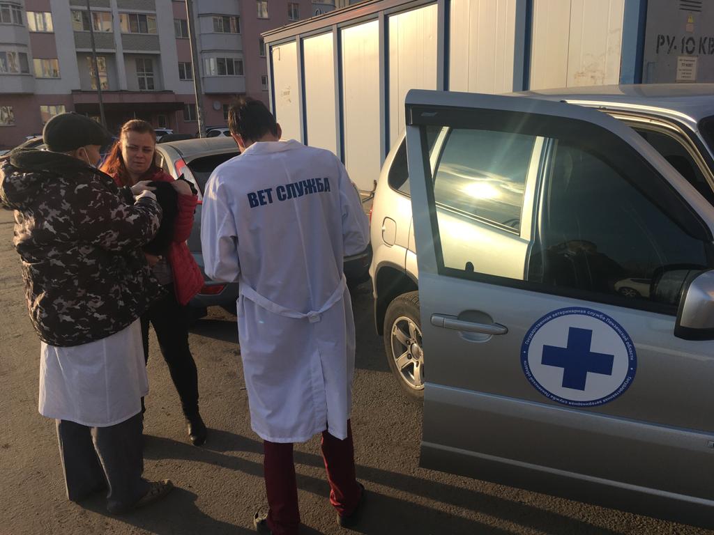 Специалисты управления ветеринарии минсельхоза Пензенской области провели вакцинацию домашних животных против бешенства