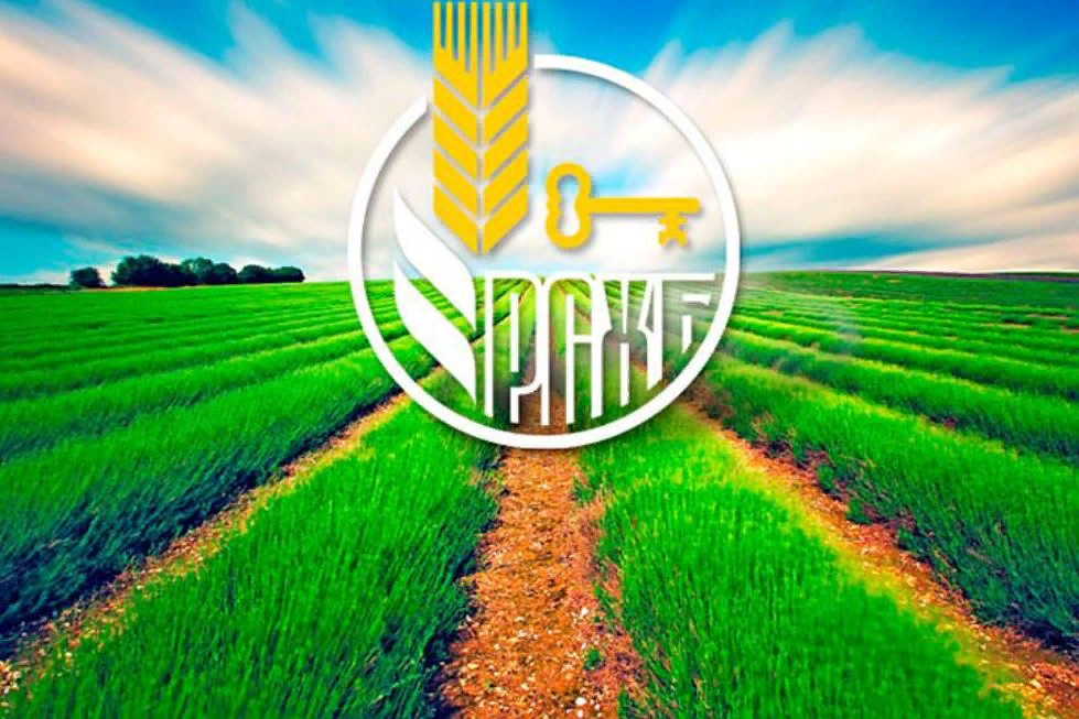 Россельхозбанк запускает биометрическое подтверждение личности клиента одновременно во всех отделениях