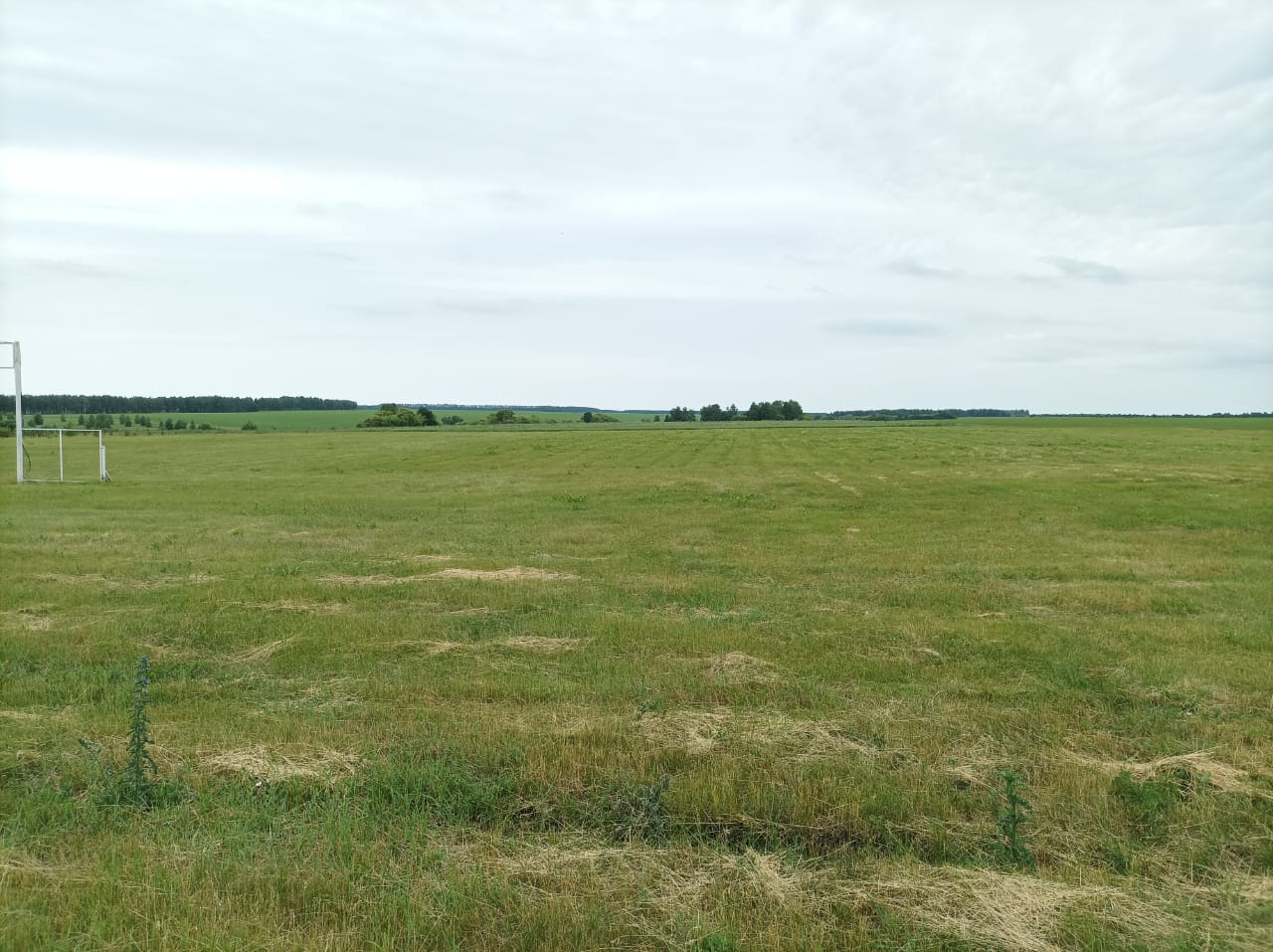 Представители Министерства сельского хозяйства Пензенской области активно готовятся в проведению областной выставки "День поля"
