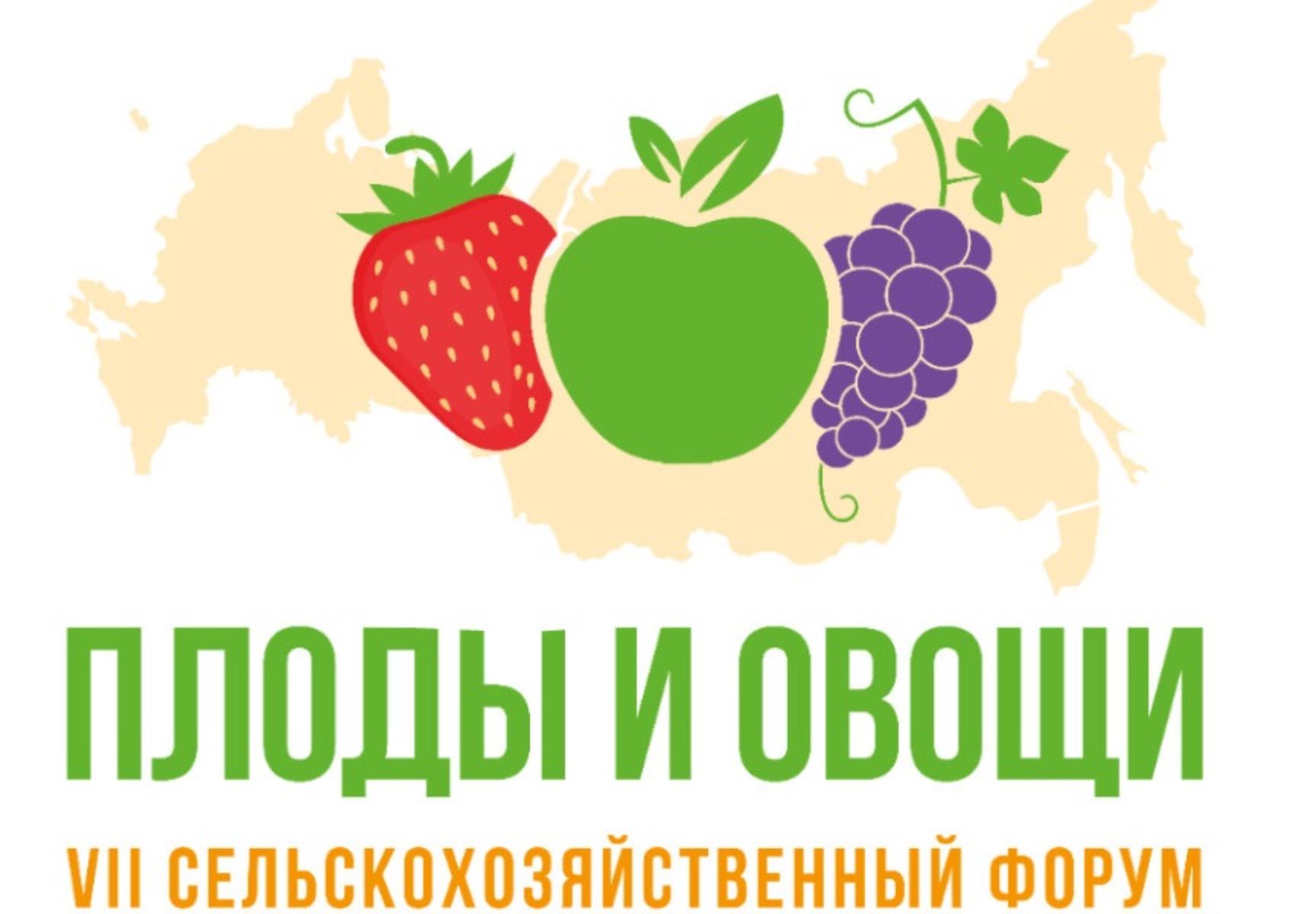 VII всероссийский сельскохозяйственный форум «Плоды и овощи России - 2025» VII всероссийский сельскохозяйственный форум «Плоды и овощи России - 2025»