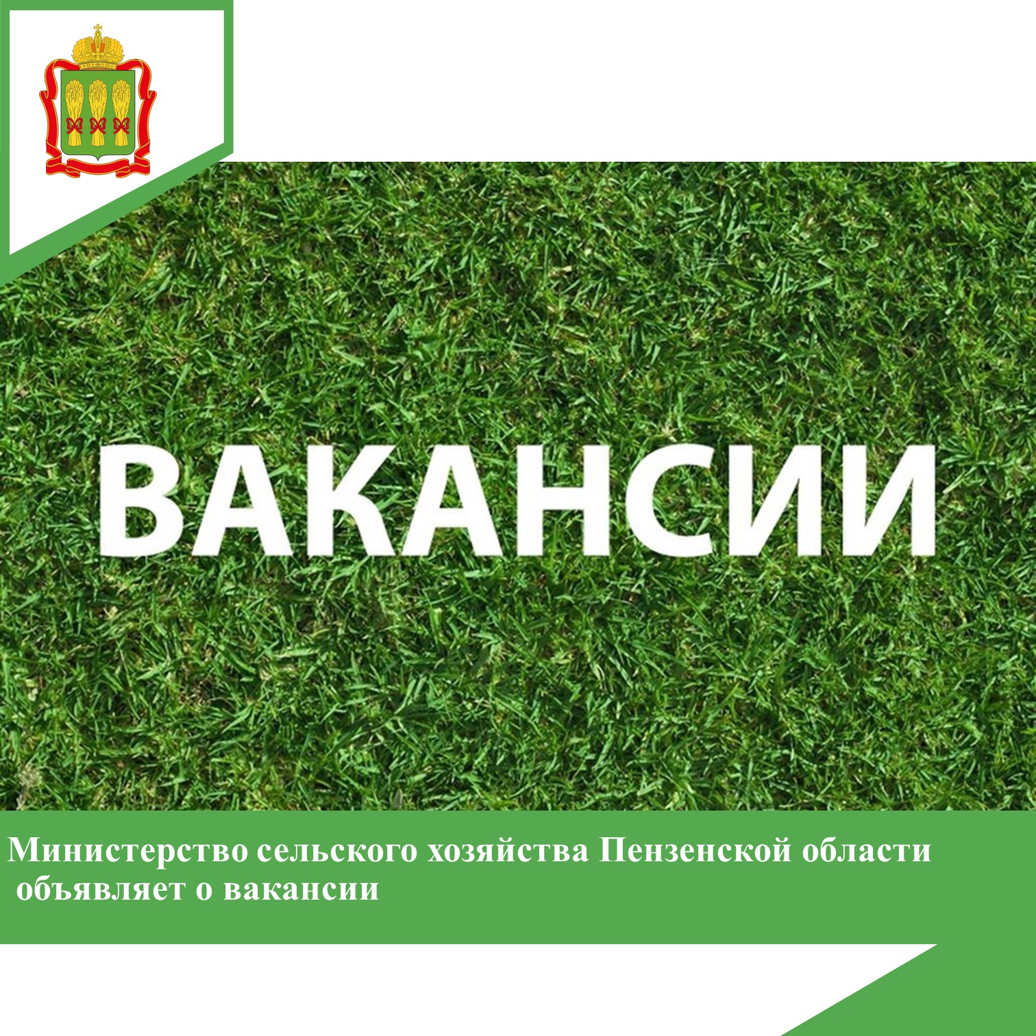 Министерство сельского хозяйства Пензенской области объявляет о вакансии