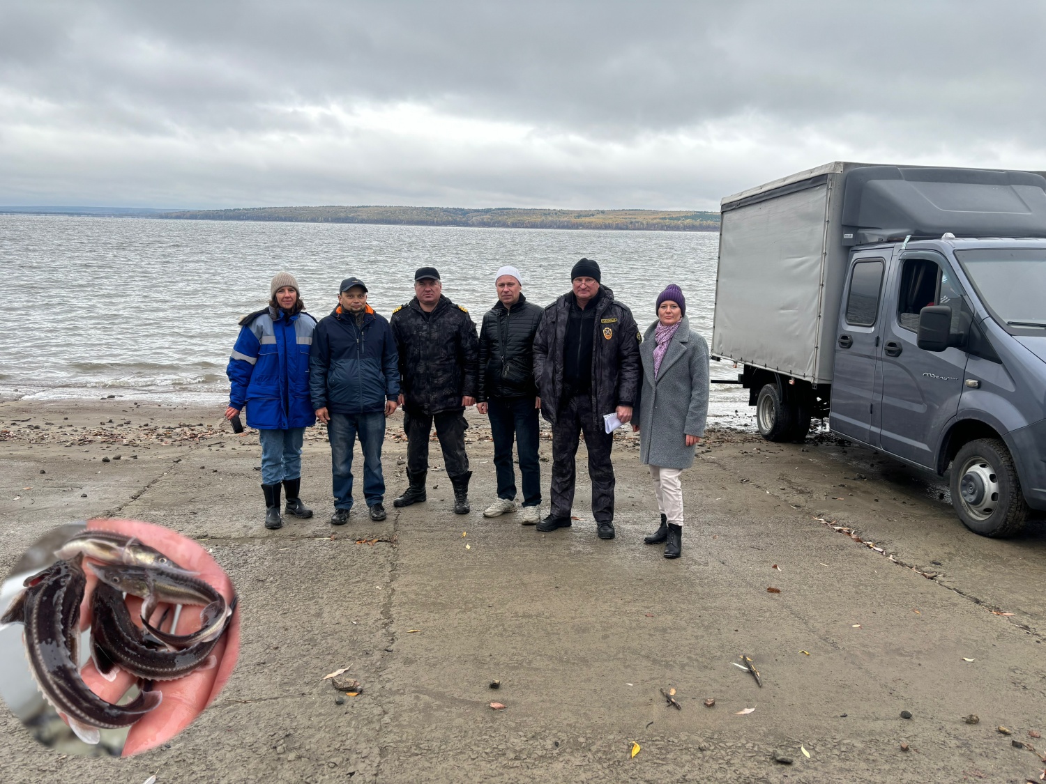 В Пензенское (Сурское) водохранилище выпустили молодь стерляди