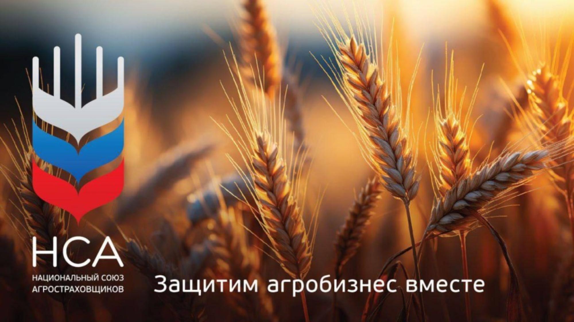 Разработано специализированное мобильное приложение «НСА Помощник агрария» Разработано специализированное мобильное приложение «НСА Помощник агрария»