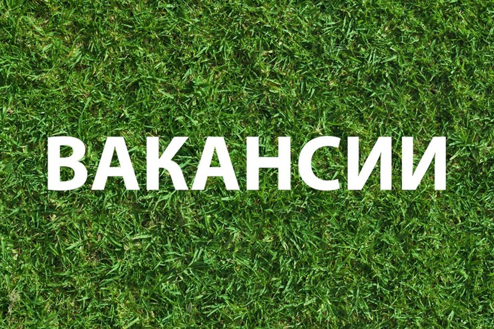 Министерство сельского хозяйства Пензенской области объявляет о вакансии