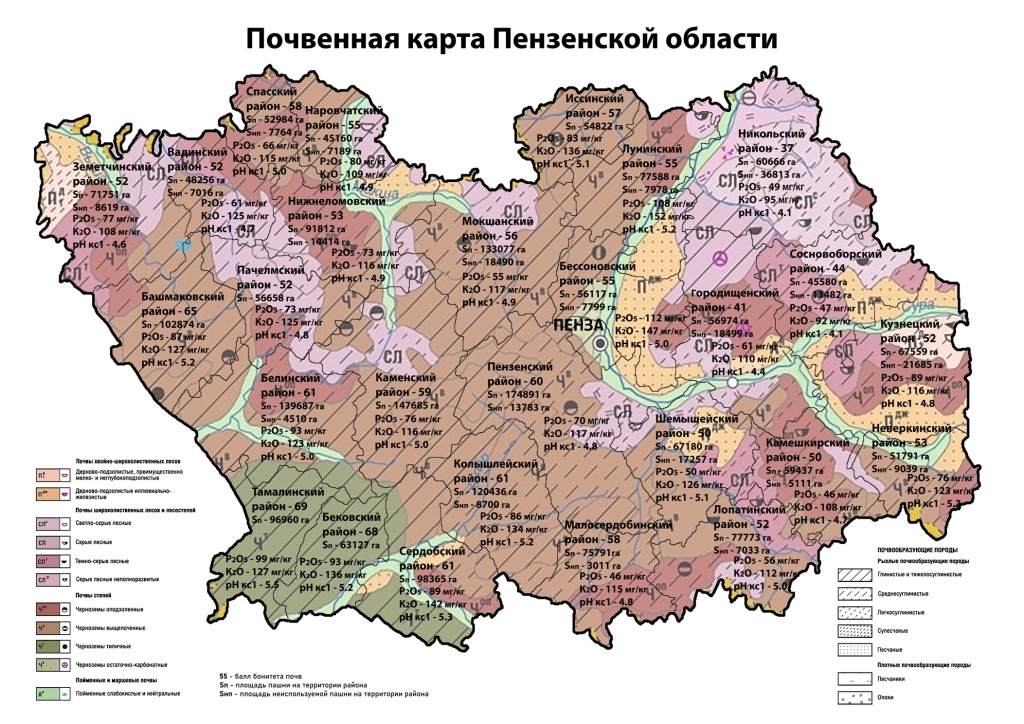 Почвенная карта.jpg