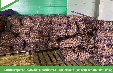 Министерство сельского хозяйства Пензенской области объявляет отбор получателей субсидий на производство картофеля и овощей