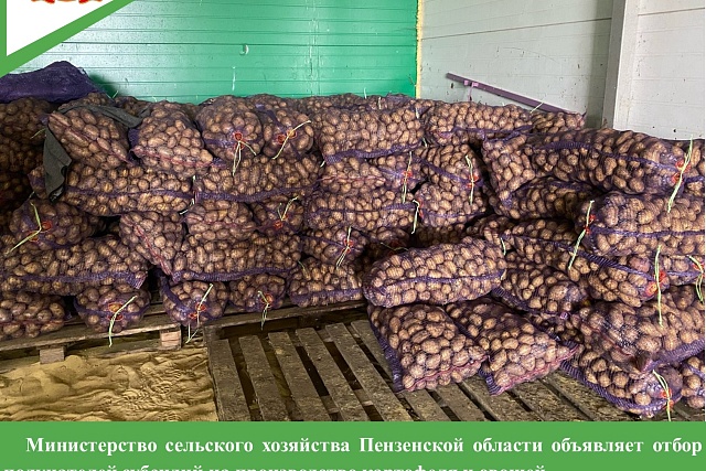 Министерство сельского хозяйства Пензенской области объявляет отбор получателей субсидий на производство картофеля и овощей