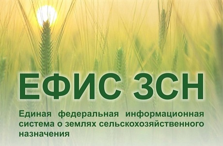 Ответы на часто задаваемые вопросы по работе в системе ЕФИС ЗСН Ответы на часто задаваемые вопросы по работе в системе ЕФИС ЗСН