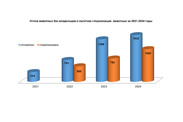 В 2024 году отловлено 1632 животных без владельцев
