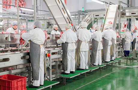 В секторе сельхозорганизаций на 13% увеличилось производство скота и птицы, на 23% - молока, на 8% - яиц В секторе сельхозорганизаций на 13% увеличилось производство скота и птицы, на 23% - молока, на 8% - яиц