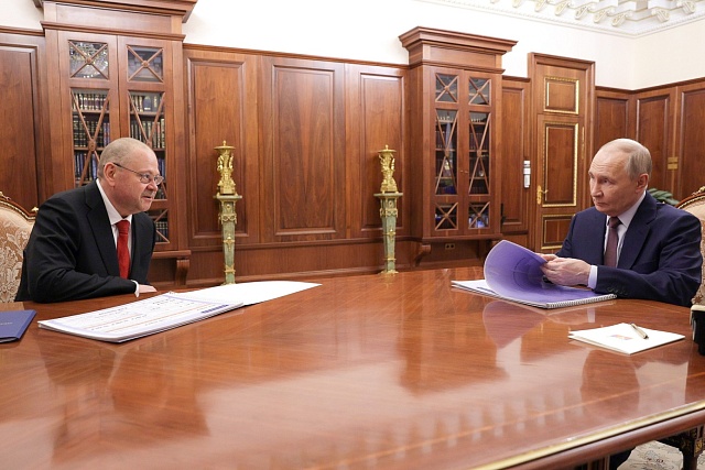 Олег Мельниченко доложил Владимиру Путину о социально-экономическом развитии Пензенской области
