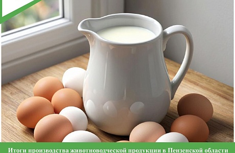 Итоги производства животноводческой продукции в Пензенской области за январь — август 2025 года