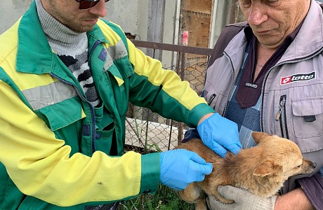 Рабочие будни молодых специалистов