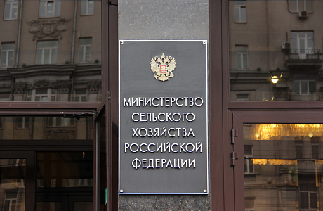 Объём реализации молока в сельхозорганизациях вырос на 1,4%