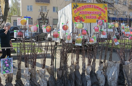 Приглашаем жителей города Пензы и области на фестиваль "Сезон удачи!