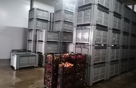 Сотрудники Министерства посетили ООО «Сады Суры» Бессоновского района Сотрудники Министерства посетили ООО «Сады Суры» Бессоновского района