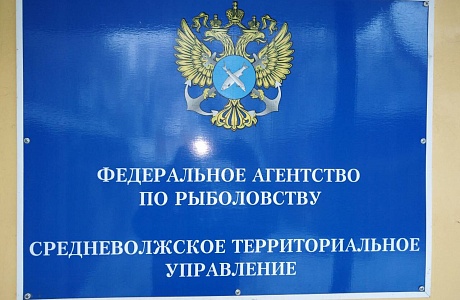 По Пензенской области планируется провести аукцион по 10 водным объектам По Пензенской области планируется провести аукцион по 10 водным объектам