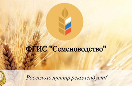 Разработана единая инструкция по работе в государственных  информационных системах