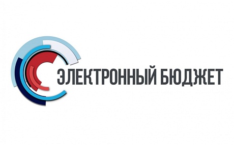 Подача документов на получение средств господдержки через систему «Электронный бюджет»