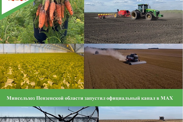 Минсельхоз Пензенской области запустил официальный канал в МАХ