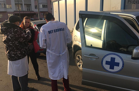 Специалисты управления ветеринарии минсельхоза Пензенской области провели вакцинацию домашних животных против бешенства