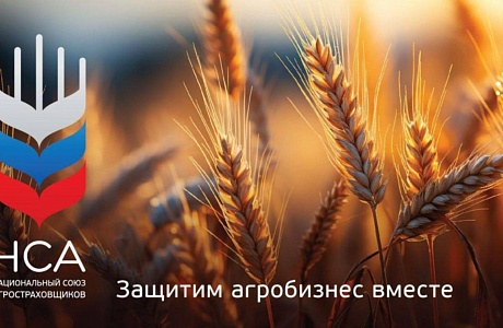 Разработано специализированное мобильное приложение «НСА Помощник агрария» Разработано специализированное мобильное приложение «НСА Помощник агрария»