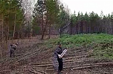 Минсельхоз оценил работу Никольского района по вводу земель в оборот Минсельхоз оценил работу Никольского района по вводу земель в оборот