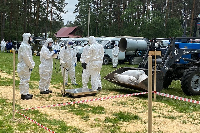 В Пензенской области прошел межрегиональный учебный семинар по  ликвидации африканской чумы свиней